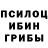 Псилоцибиновые грибы MAGIC MUSHROOMS Tatiana Blagonravova