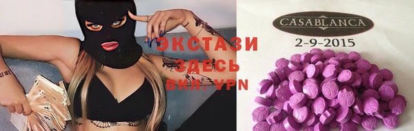 эйфоретик Няндома