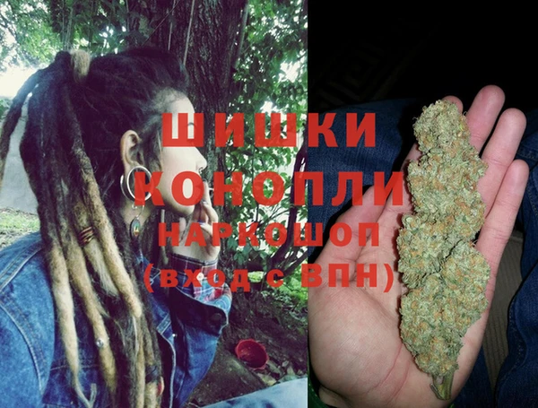 ГАЛЛЮЦИНОГЕННЫЕ ГРИБЫ Нягань