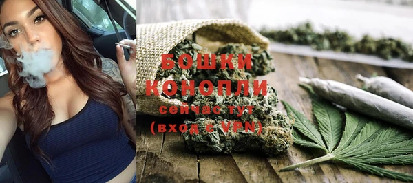 mdpv Дубна