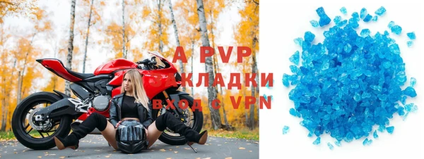 эйфоретик Няндома