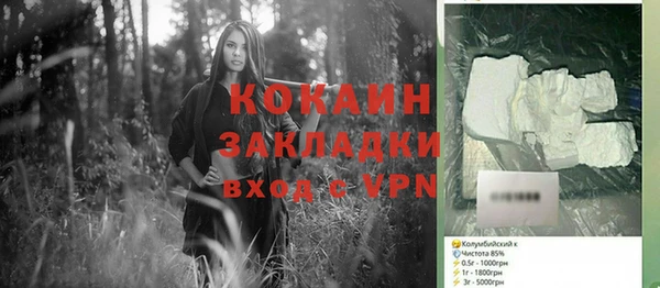 эйфоретик Няндома