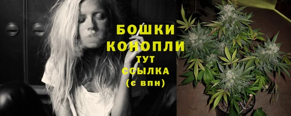 эйфоретик Няндома