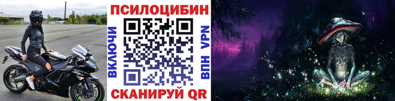 ОМГ ОМГ зеркало  Нижняя Тура  Галлюциногенные грибы Psilocybine cubensis 