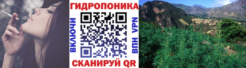 Шишки марихуана индика  наркотики  Нижняя Тура 